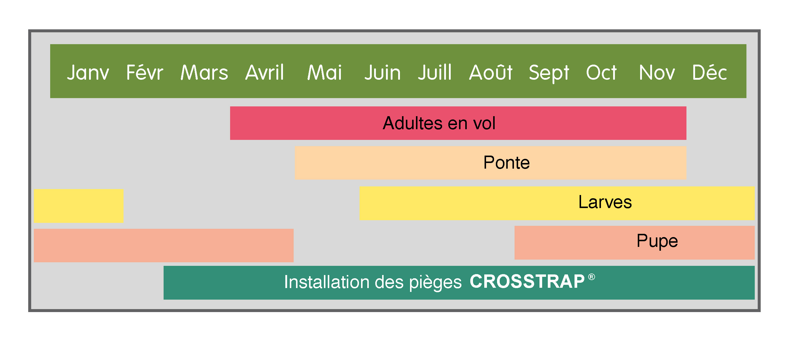 Fenología de Monochamus